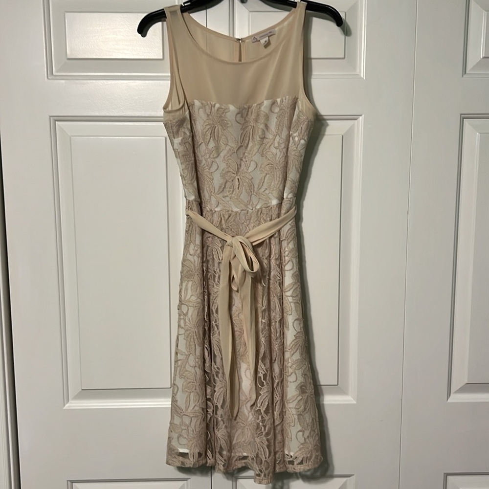 Cream Lace Dress with Belt and Upper Mesh Detail